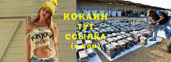 дмт Рославль