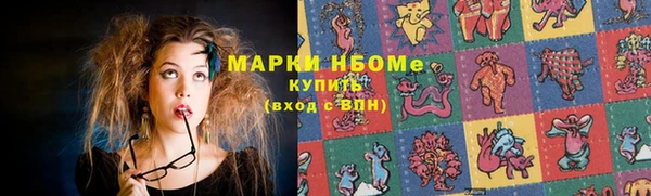 сатива Дегтярск