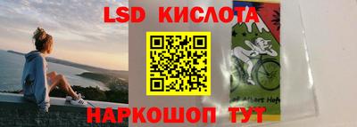 твердый Новозыбков