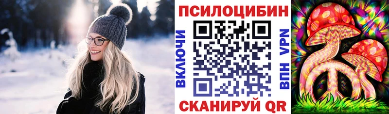 Псилоцибиновые грибы Psilocybe  это клад  Холмск 
